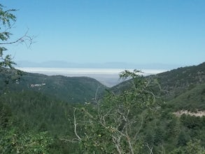 Hike the Osha Loop Trail