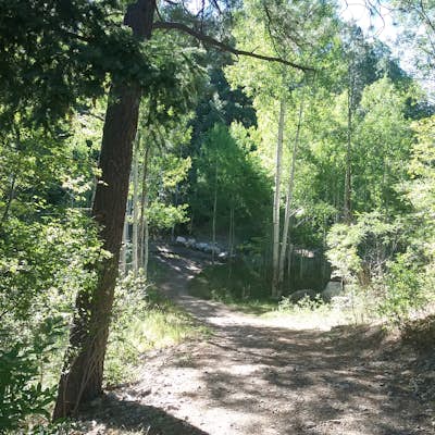 Hike the Osha Loop Trail