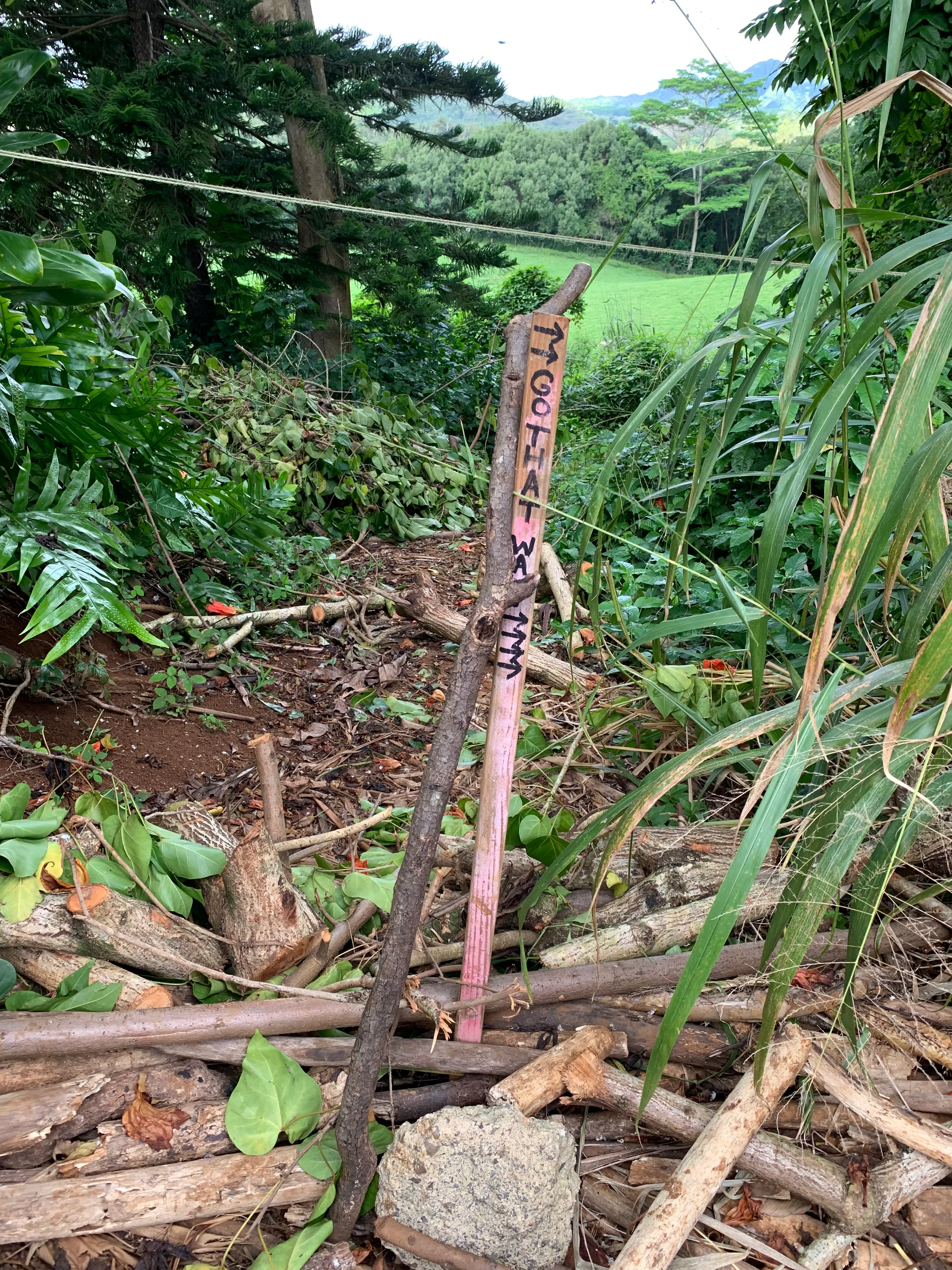 Hike to Ho'opi'i Falls 