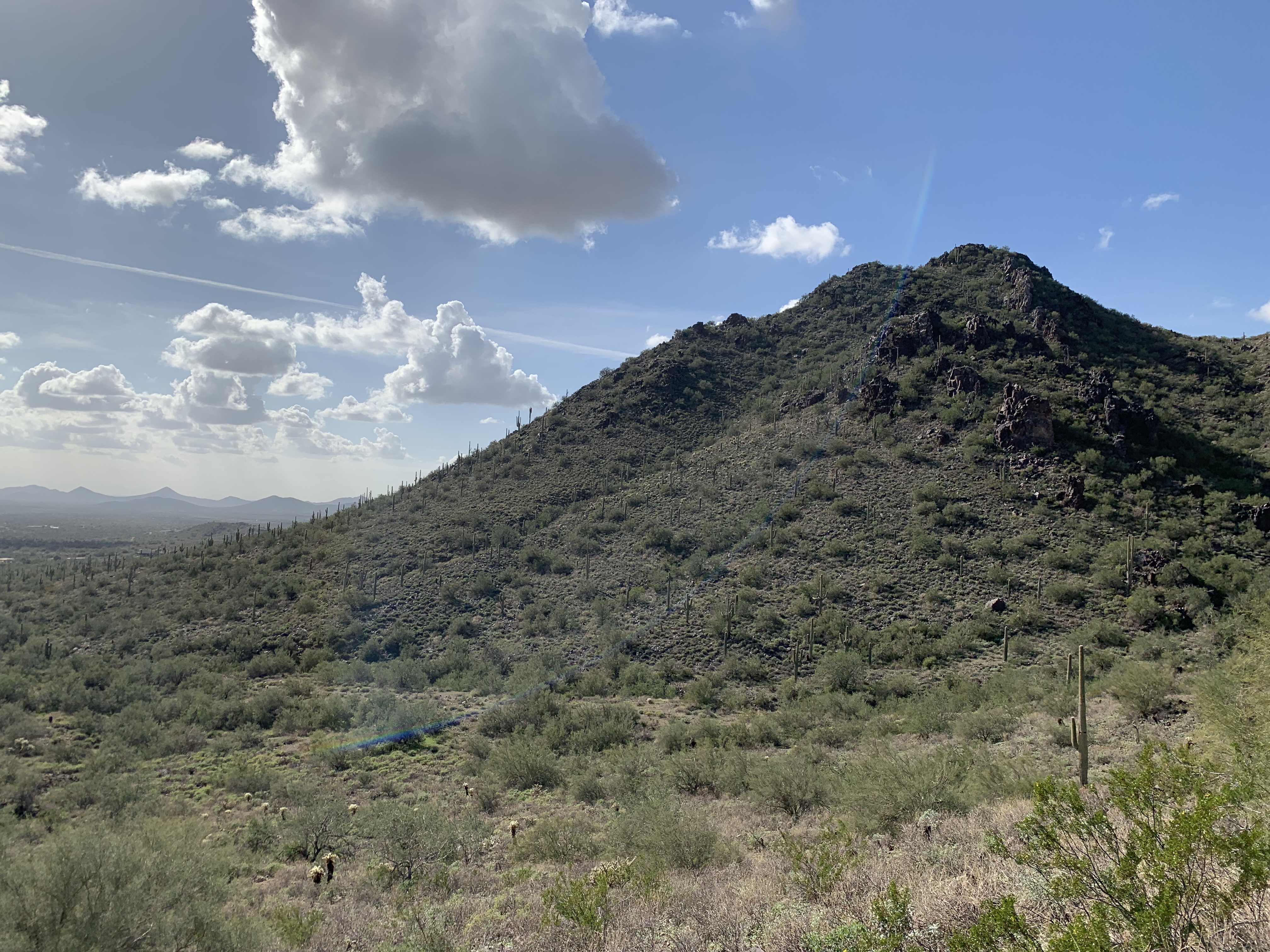 Hike the Go John Trail