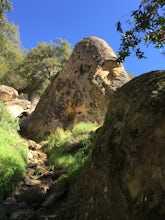 Castle Rock Trail 