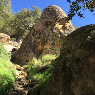 Castle Rock Trail 