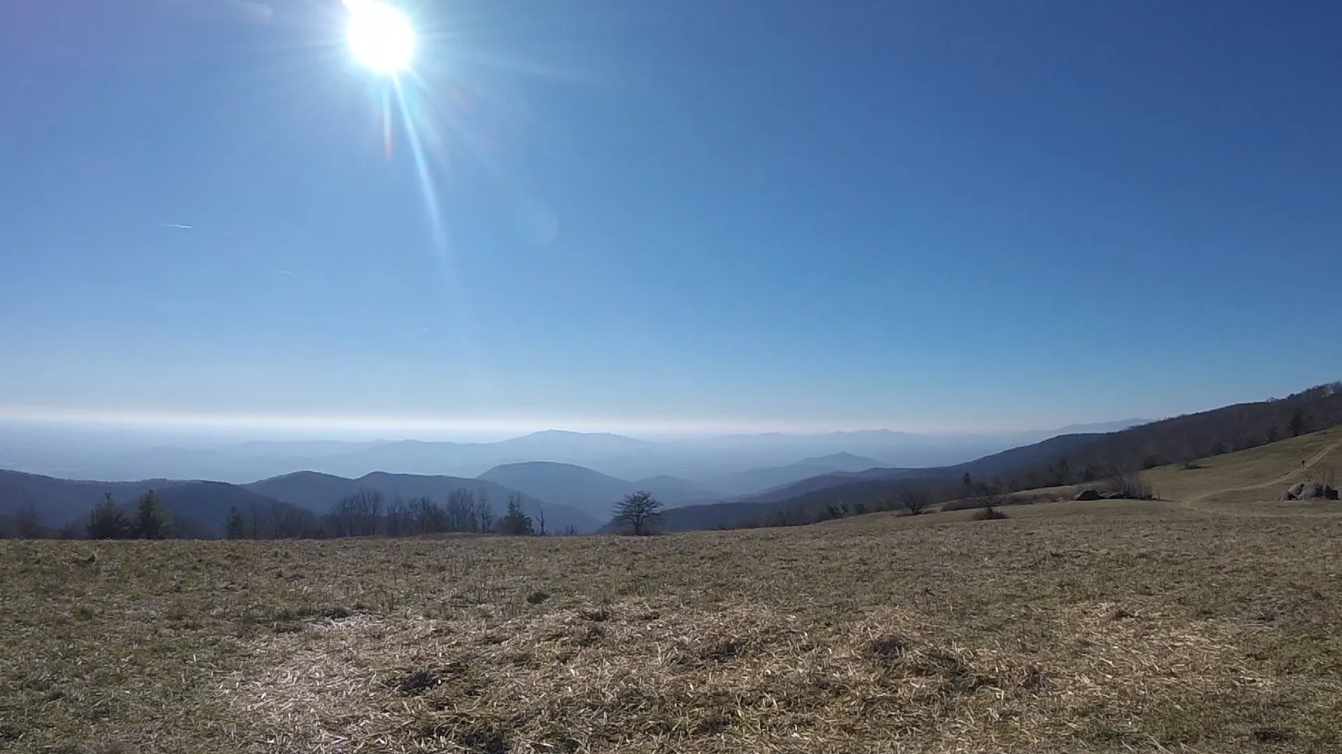 Cole Mountain Loop