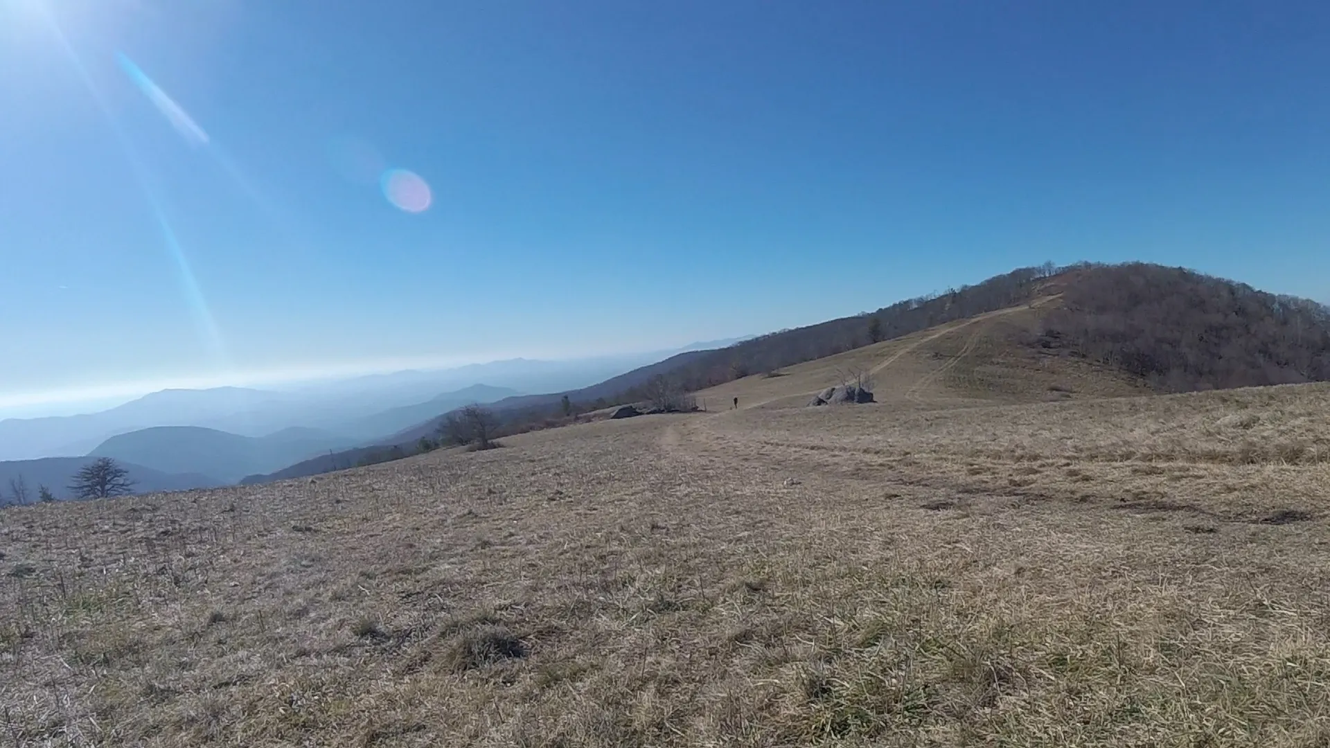 Cole Mountain Loop