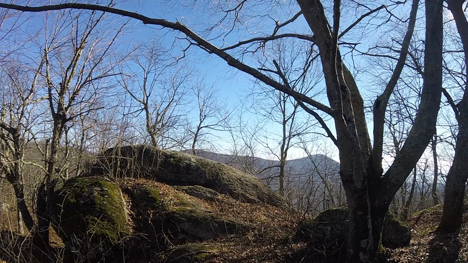 Cole Mountain Loop