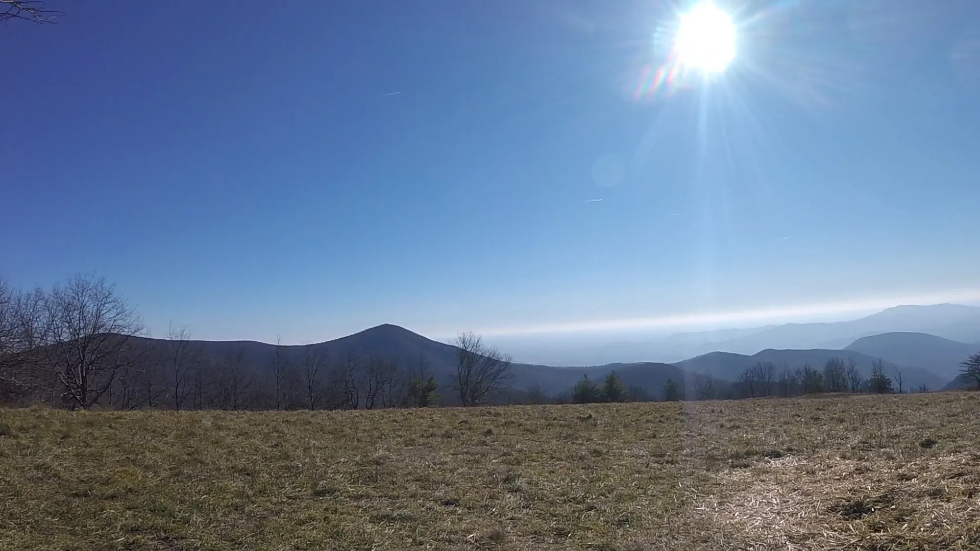 Cole Mountain Loop