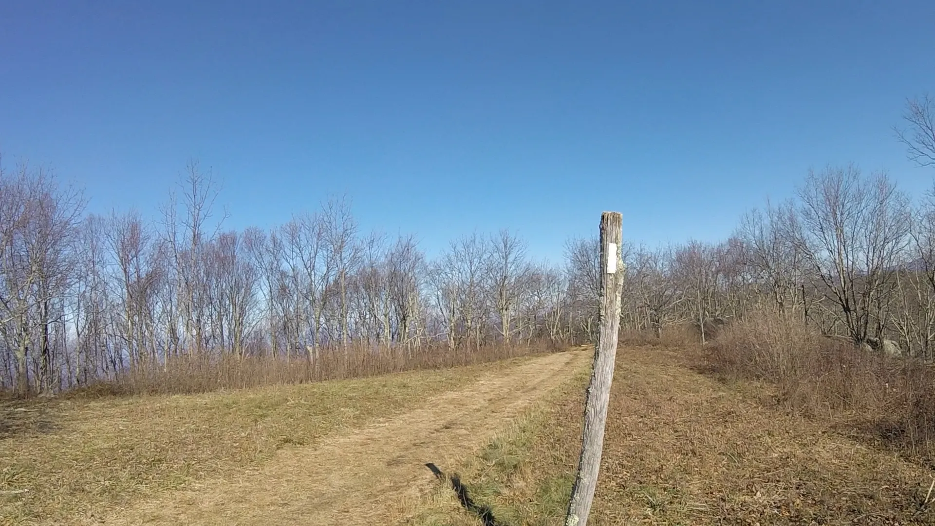 Cole Mountain Loop