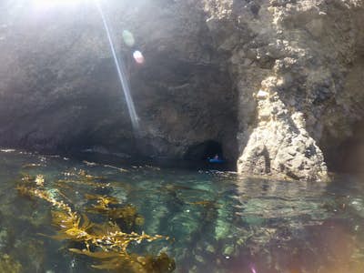 Kayak Santa Cruz Island 