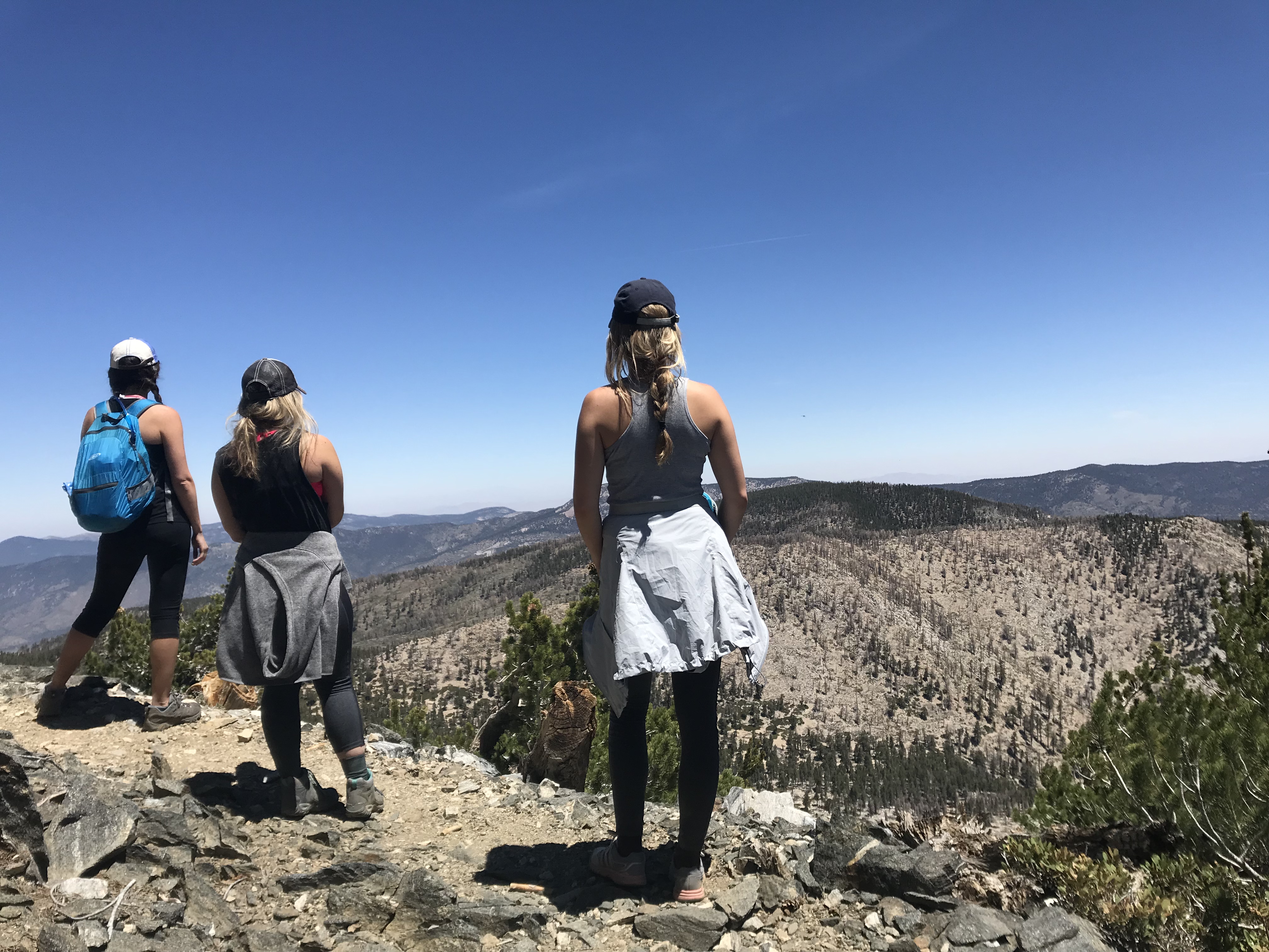 Mt. San Gorgonio via Vivian Creek