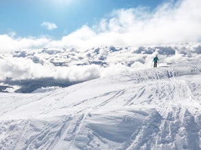 A Beginner's Guide to Snowshoeing