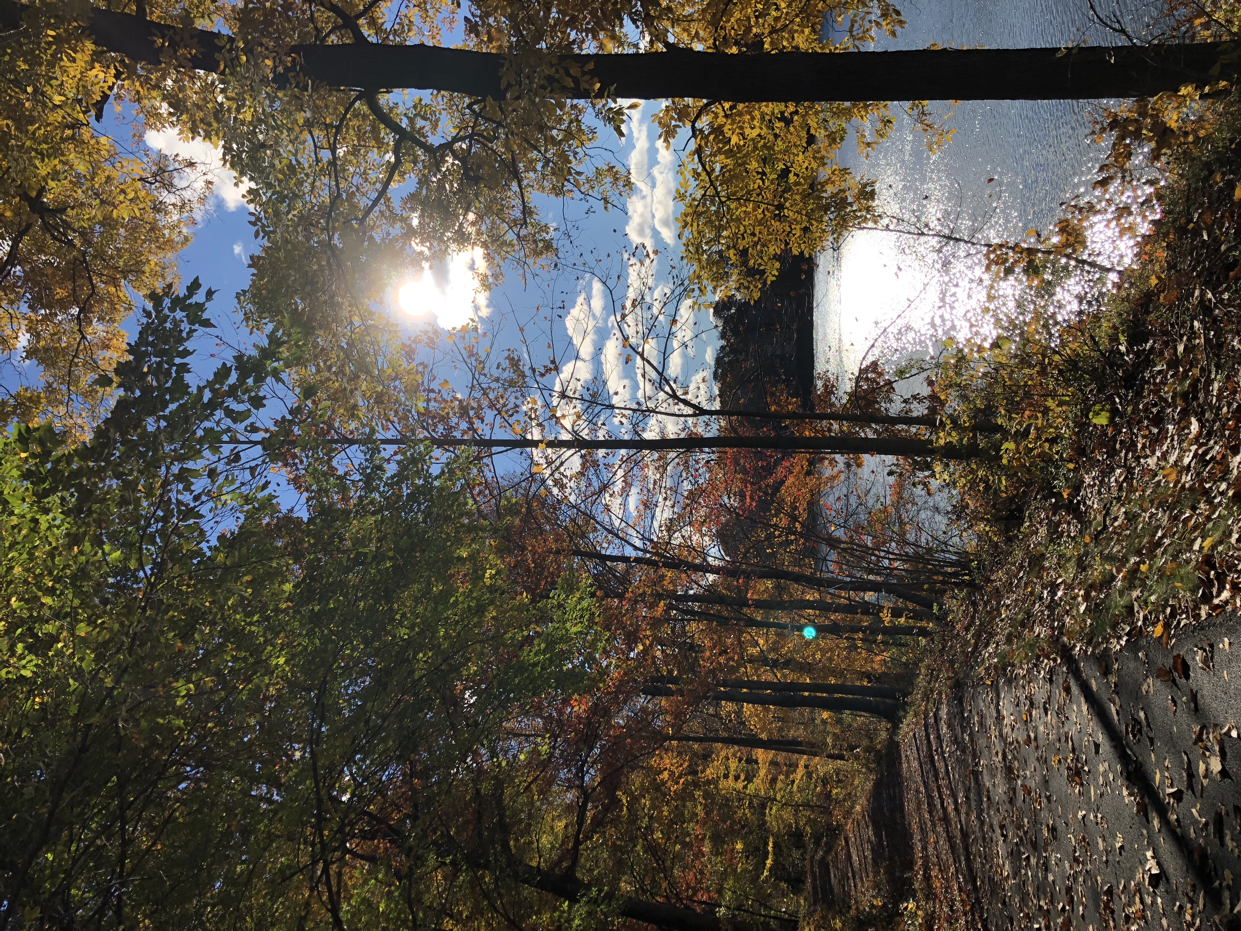 The Best Trails And Outdoor Activities In Clarksburg Maryland The Outbound Collective