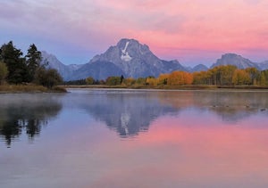 Give Back: Protect Our Wild Spaces with Year-End Giving