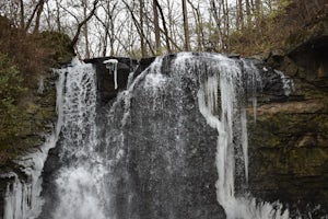 Photograph Hayden Run Falls