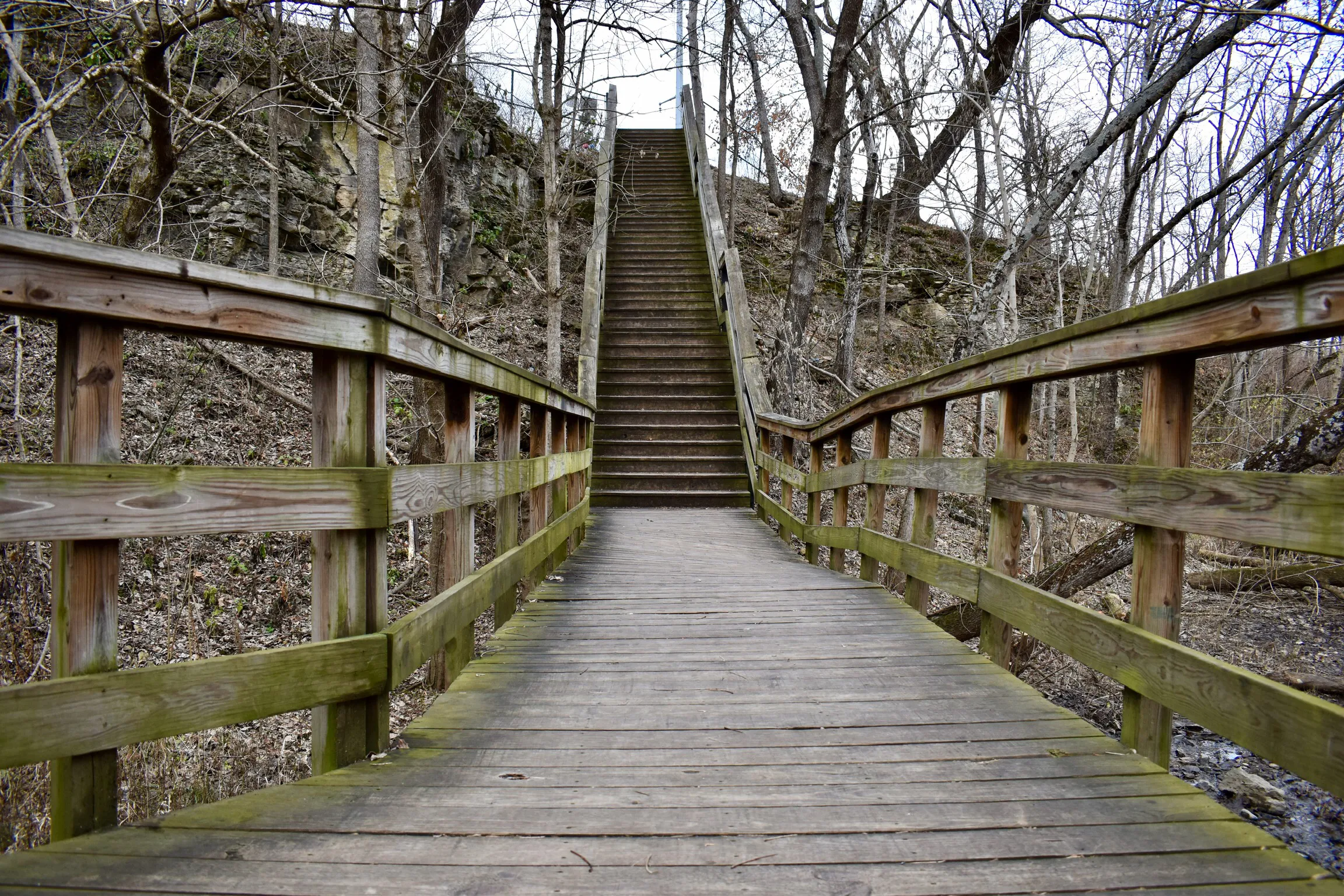 Photograph Hayden Run Falls