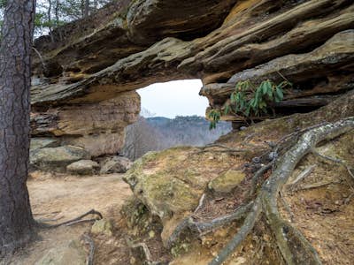 Hike to Courthouse Rock and Double Arch