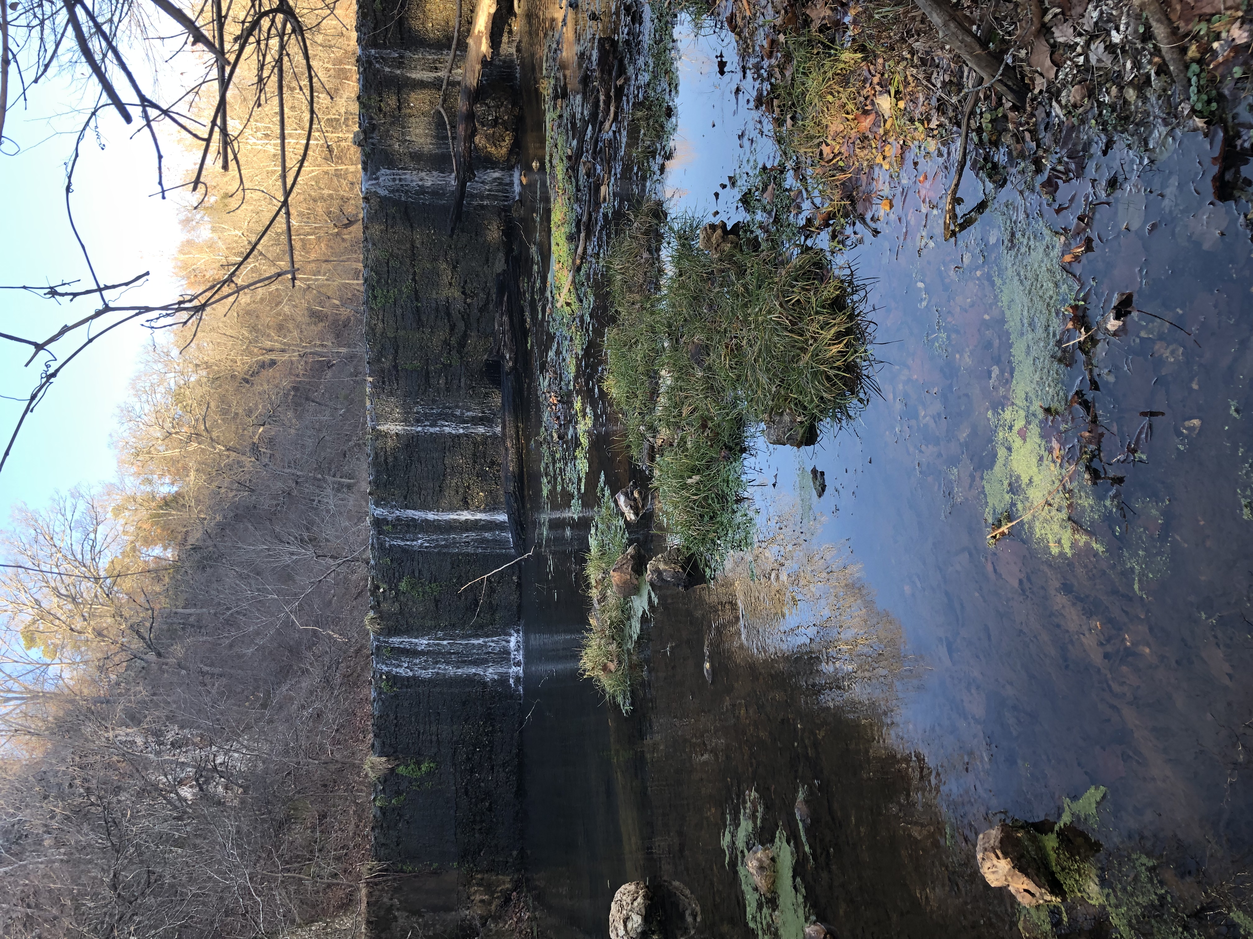 Relax at Natural Falls