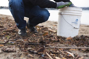 Attend a Beach Cleanup with The Surfrider Foundation