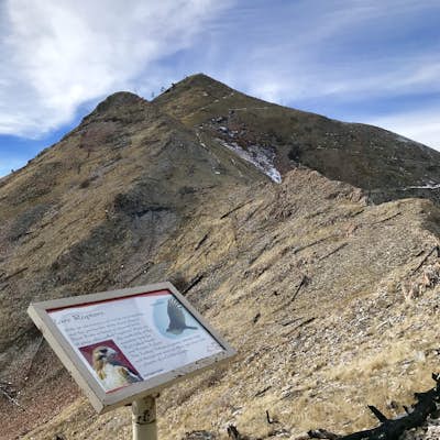 Hike the Sacred Steps of Bear Mountain