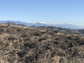 Runyon Canyon Loop