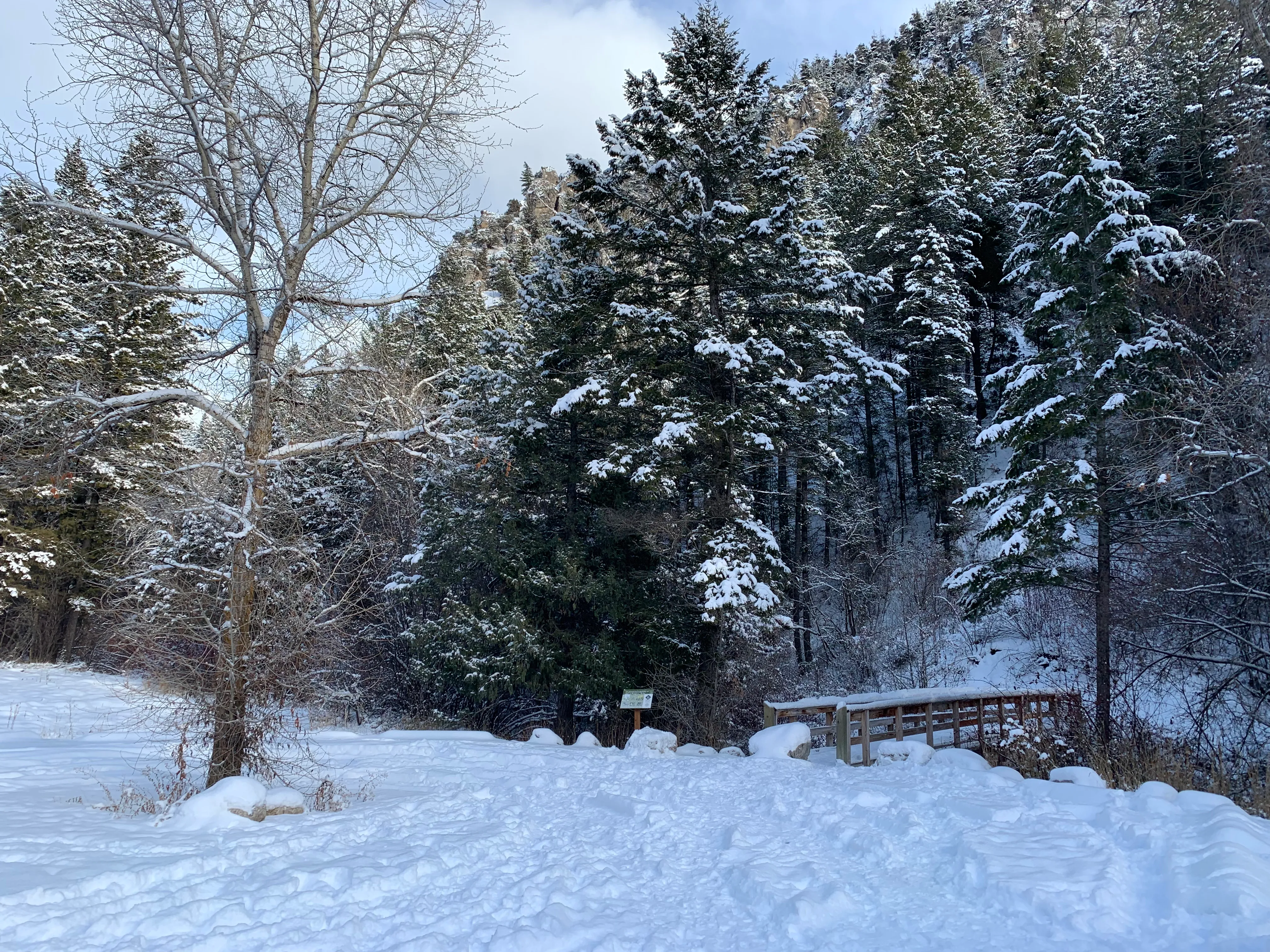 Hike along Palisades Creek