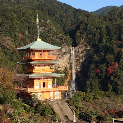 Hike the Kumano Kodo Pilgrimage Route