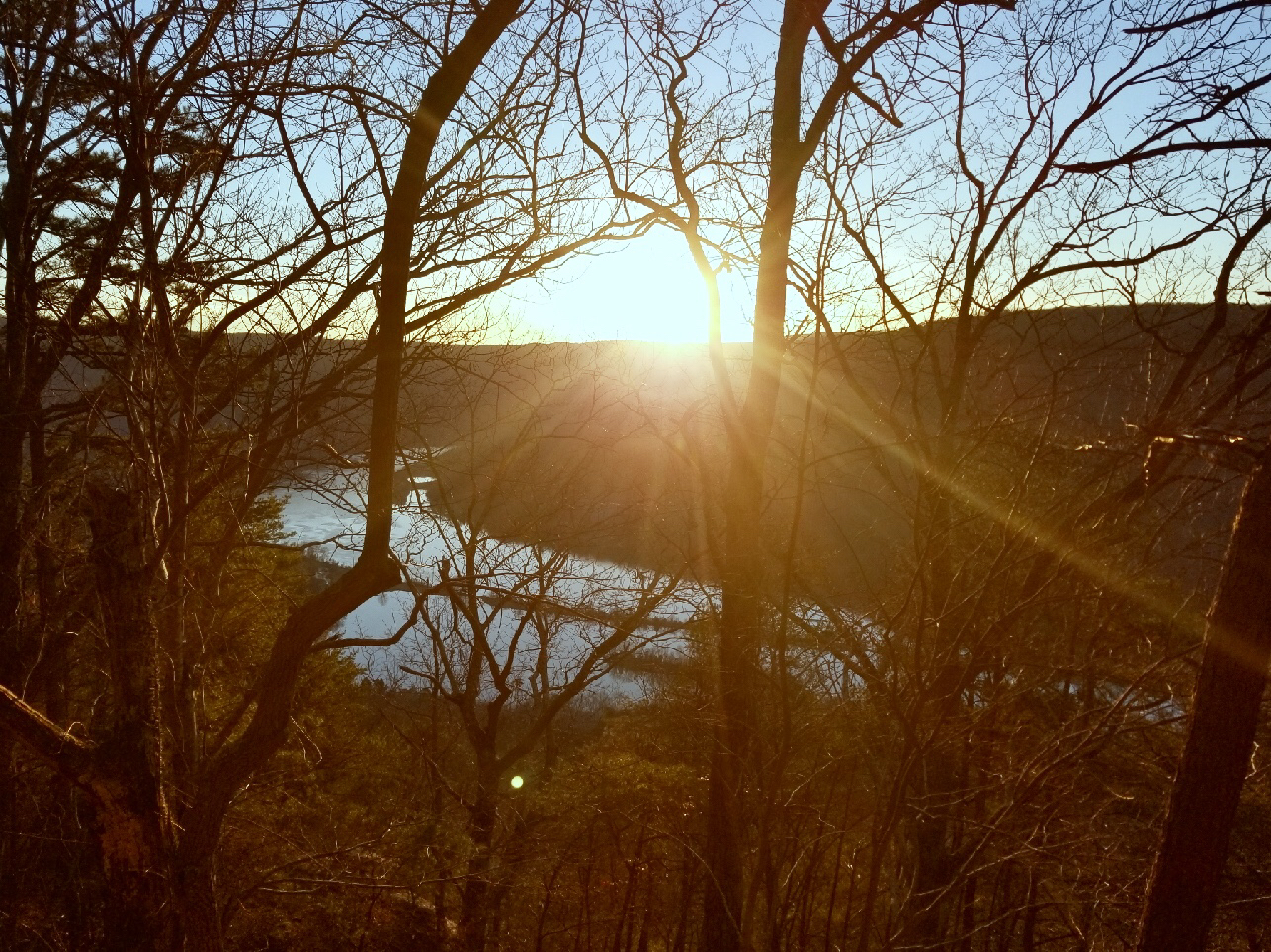 Mountain Bike Raccoon Mountain 