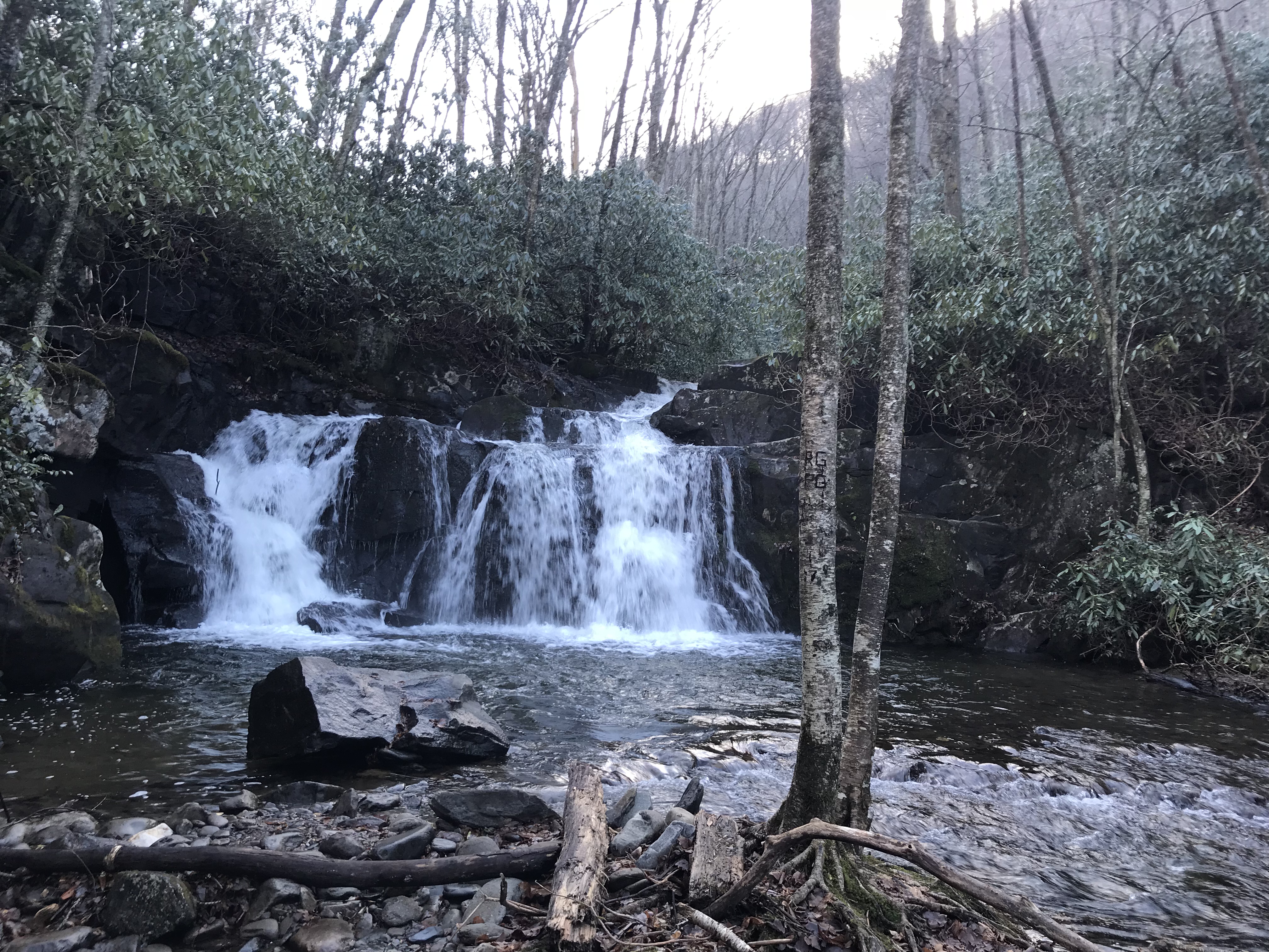 Hike to Indian Flat Falls via Middle Prong Trail