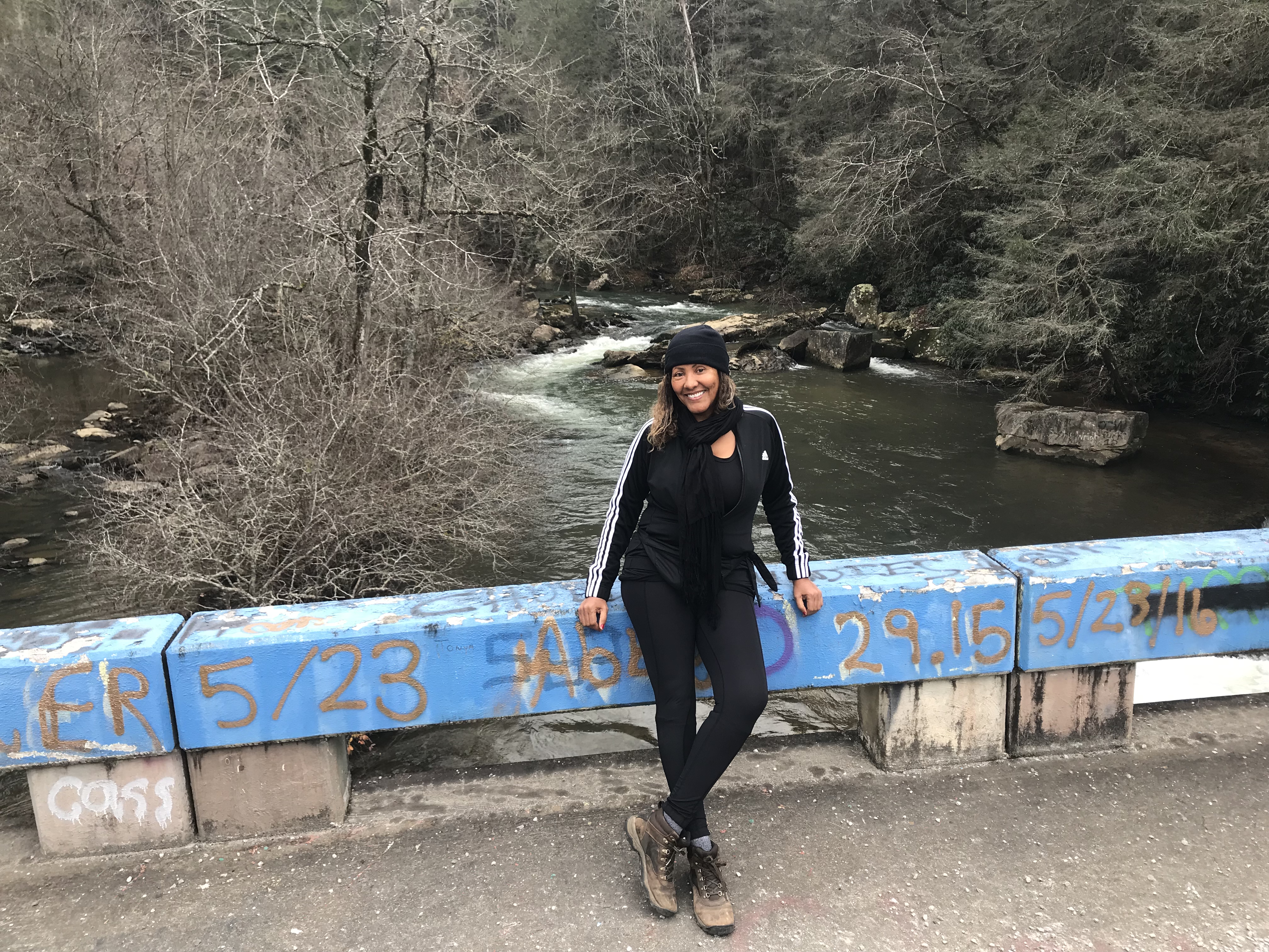 Potter's Falls