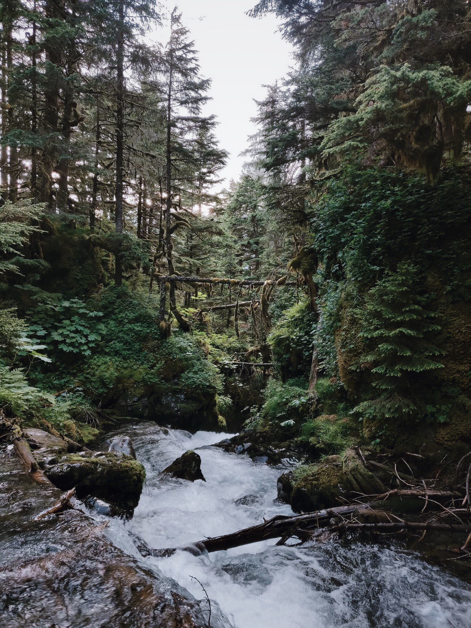 Hike Winner Creek Gorge