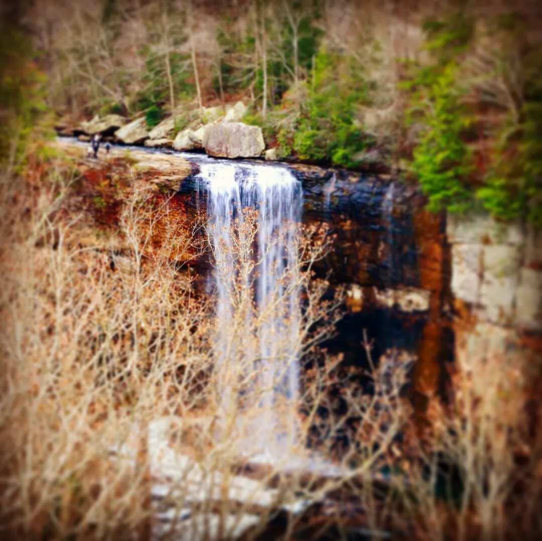 Lula Lake Land Trust