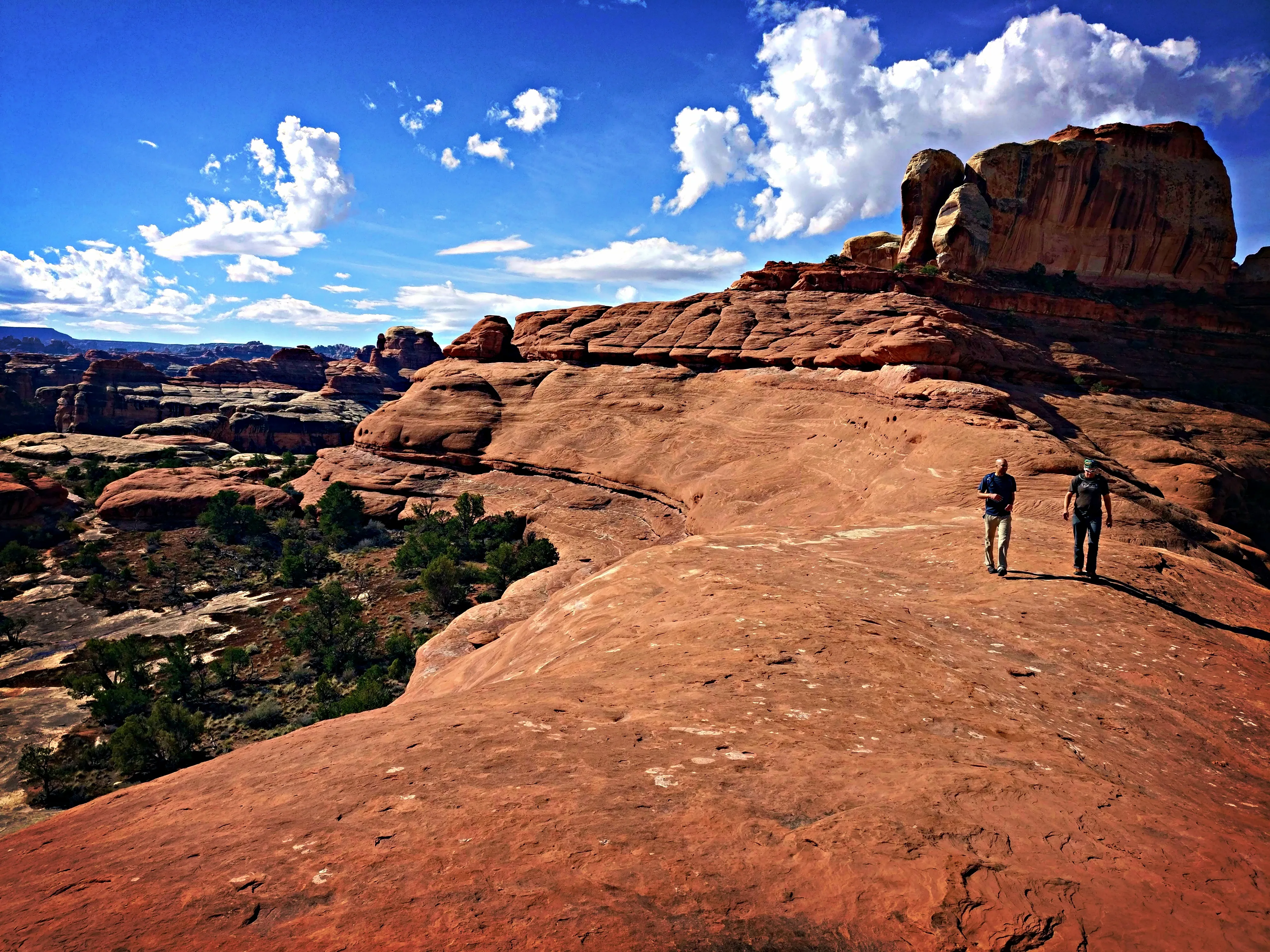 Peekaboo Trail to Salt Creek Canyon