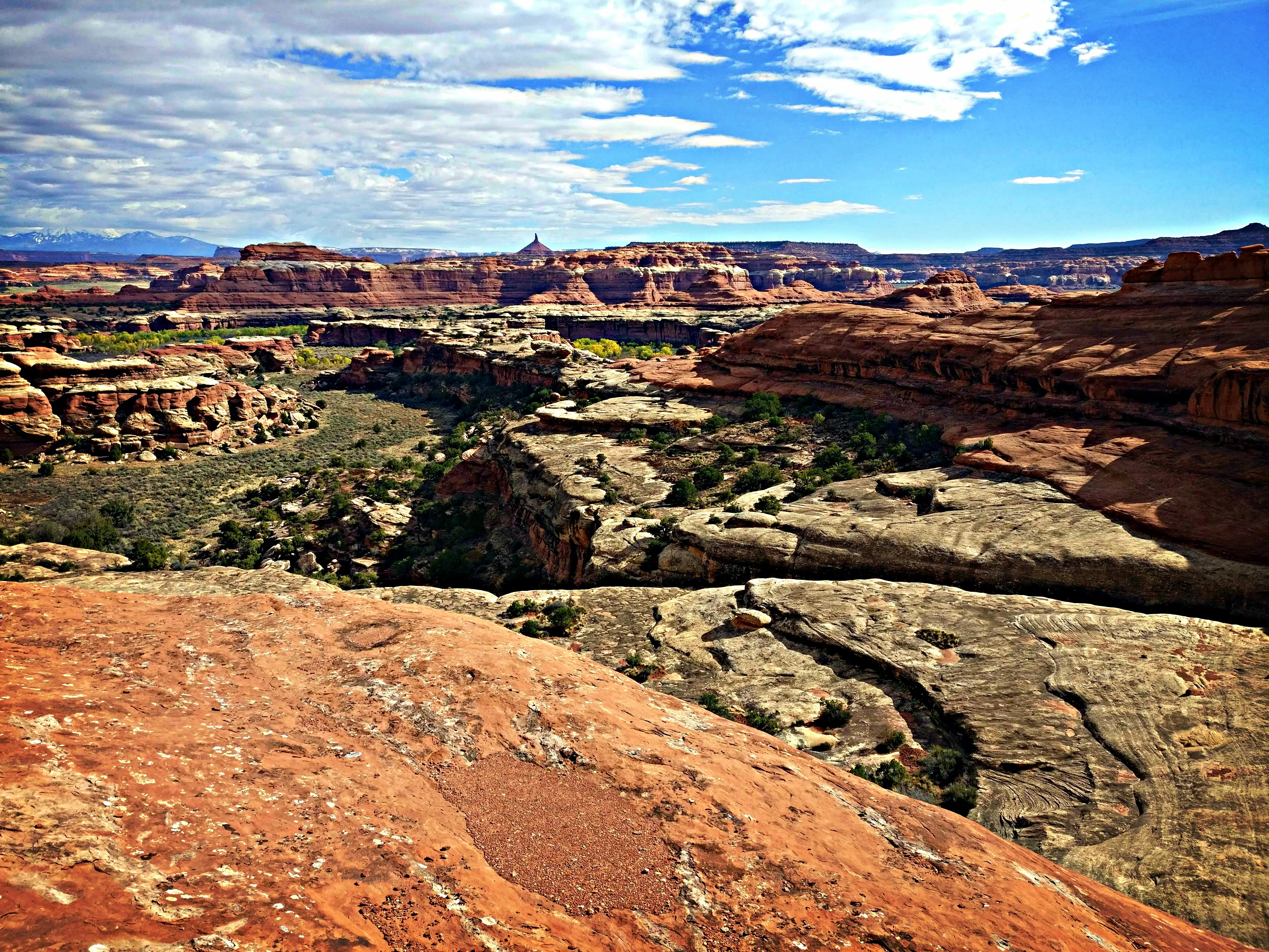 Peekaboo Trail to Salt Creek Canyon
