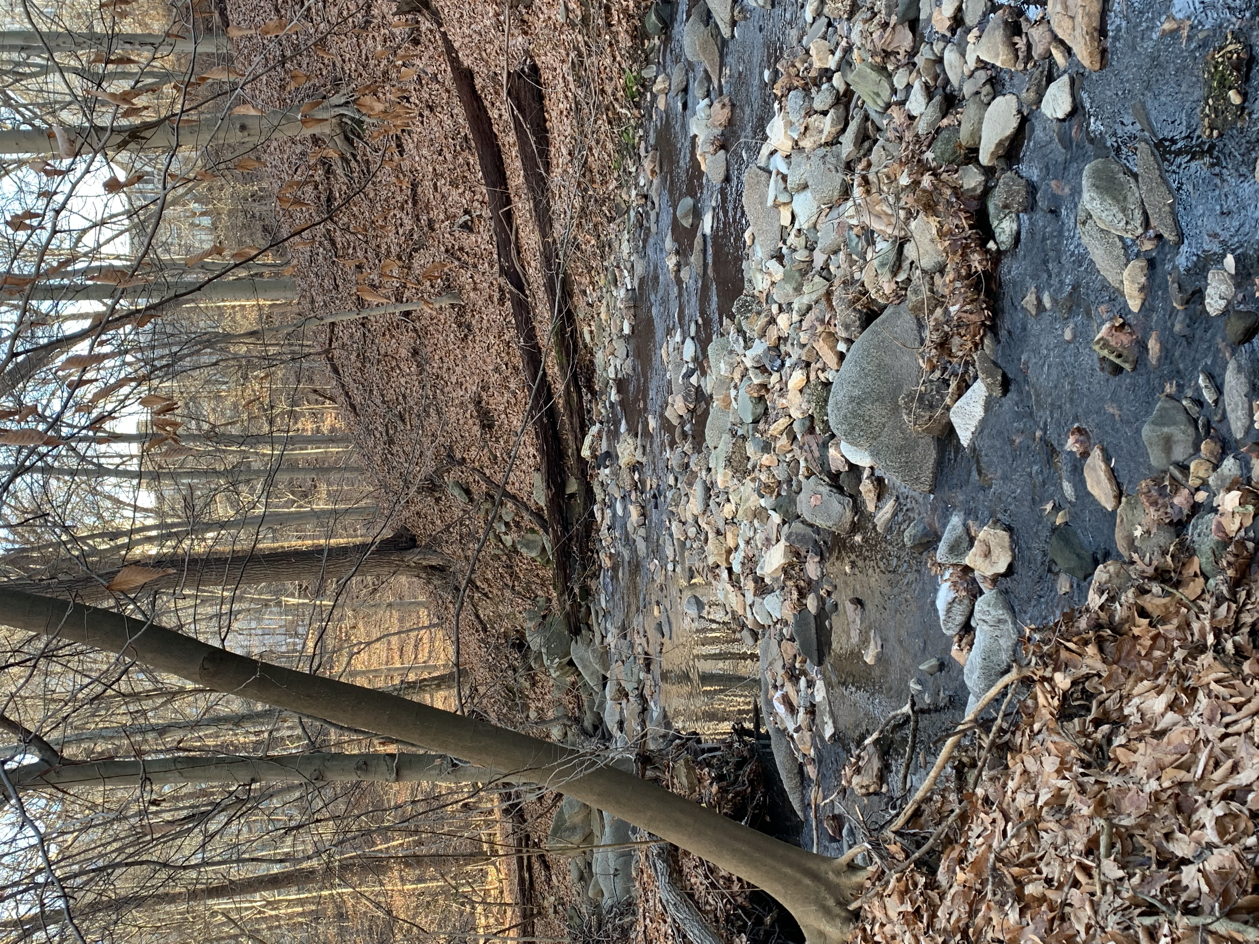 Hike the Soapstone Valley Trail