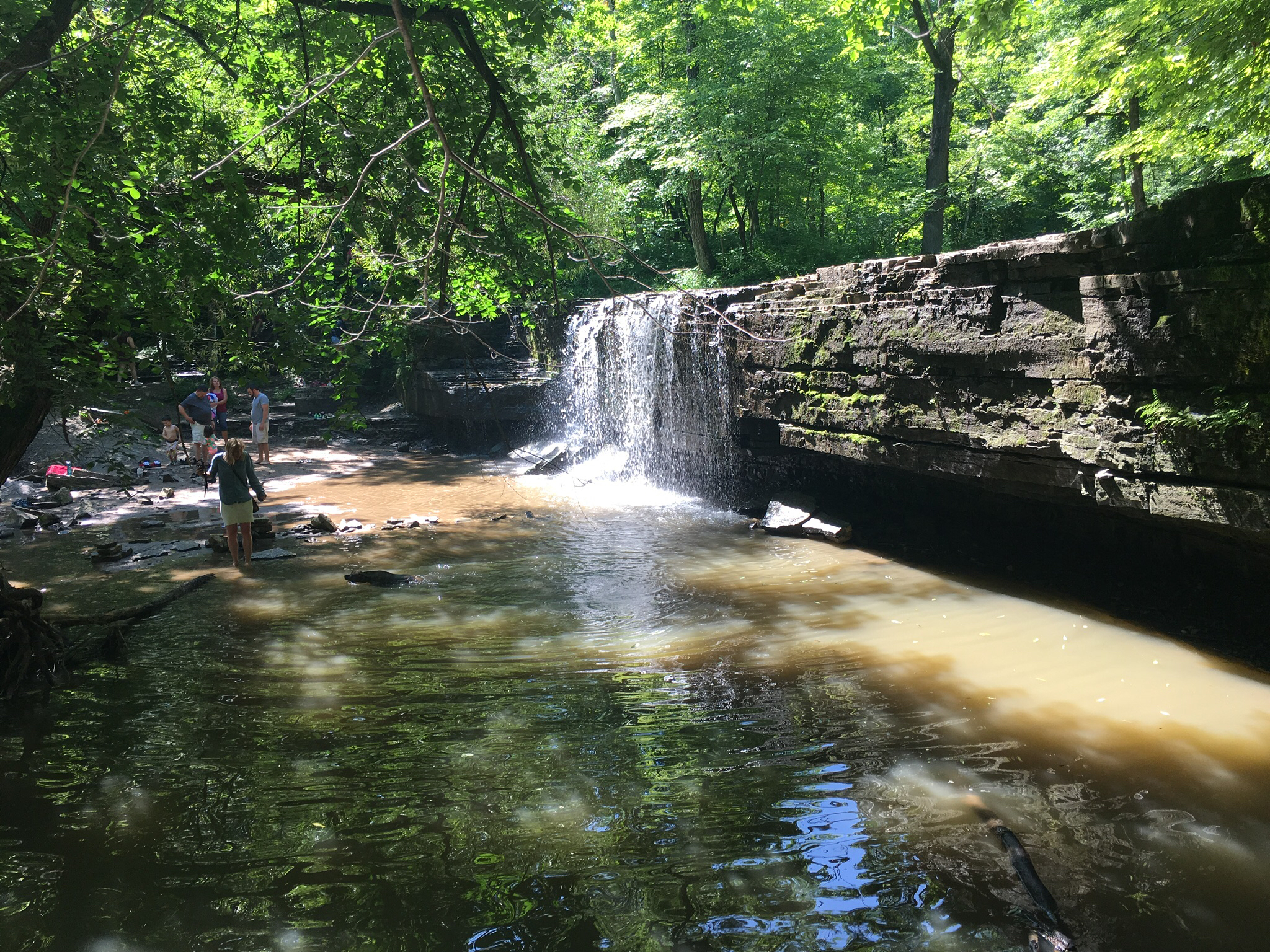 Hike Nerstrand-Big Woods State Park