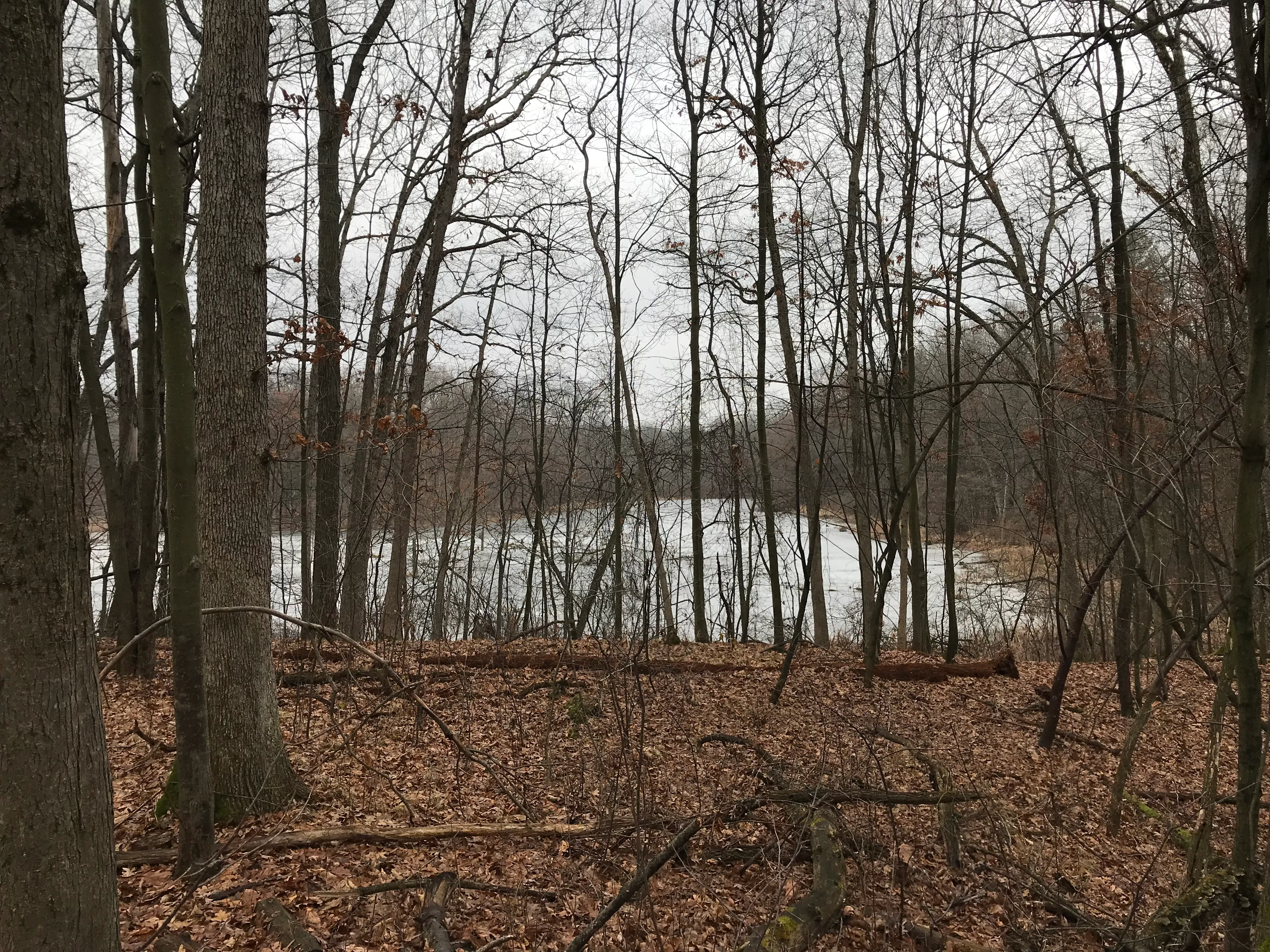 Bald Mountain Recreation Area Loop