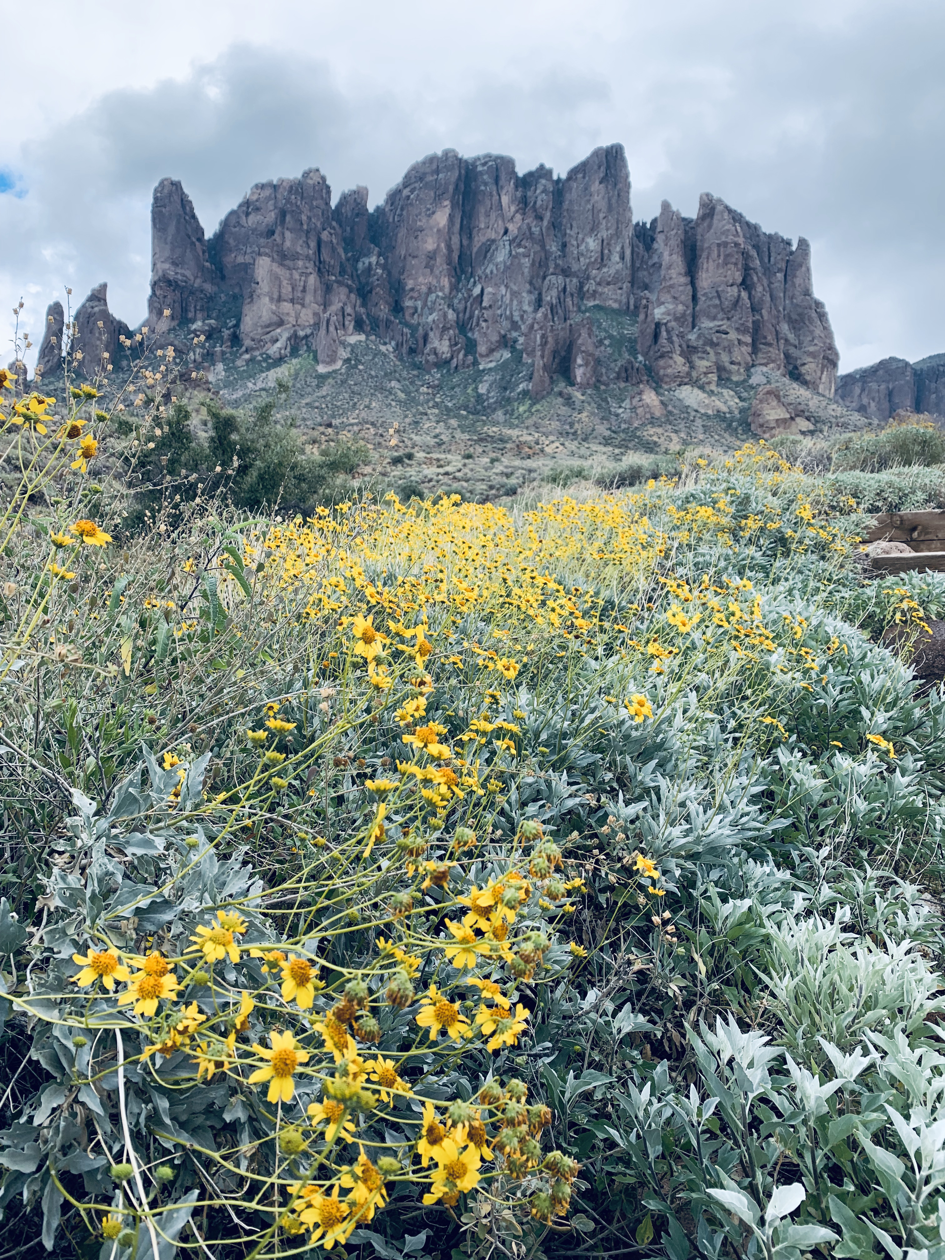 Treasure Loop Trail