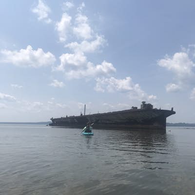 Paddle through the Ghost Fleet of the Potomac at Mallows Bay