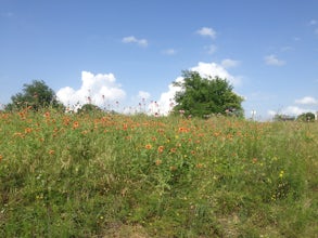 Hike at Heard Natural Science Museum & Wildlife Sanctuary