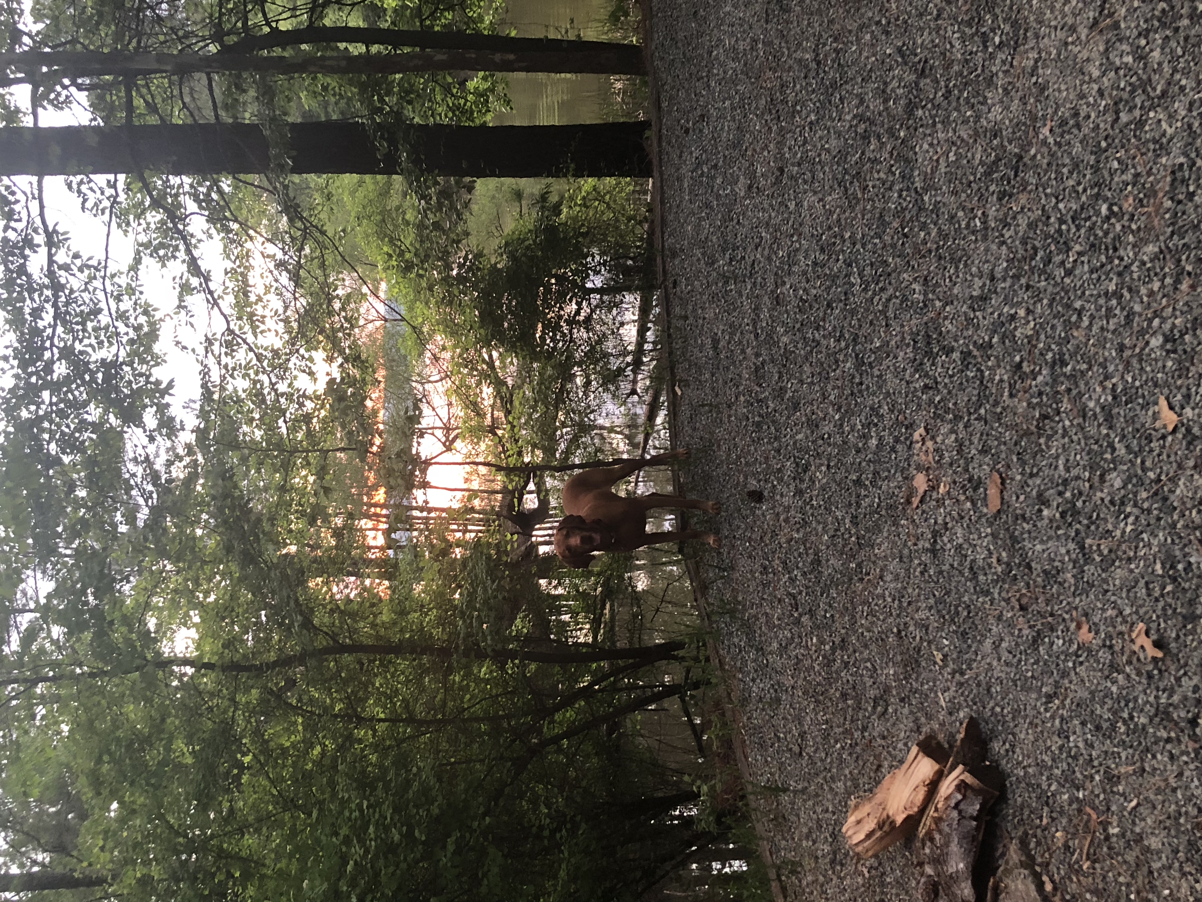 Camp at Jordan Lake State Park
