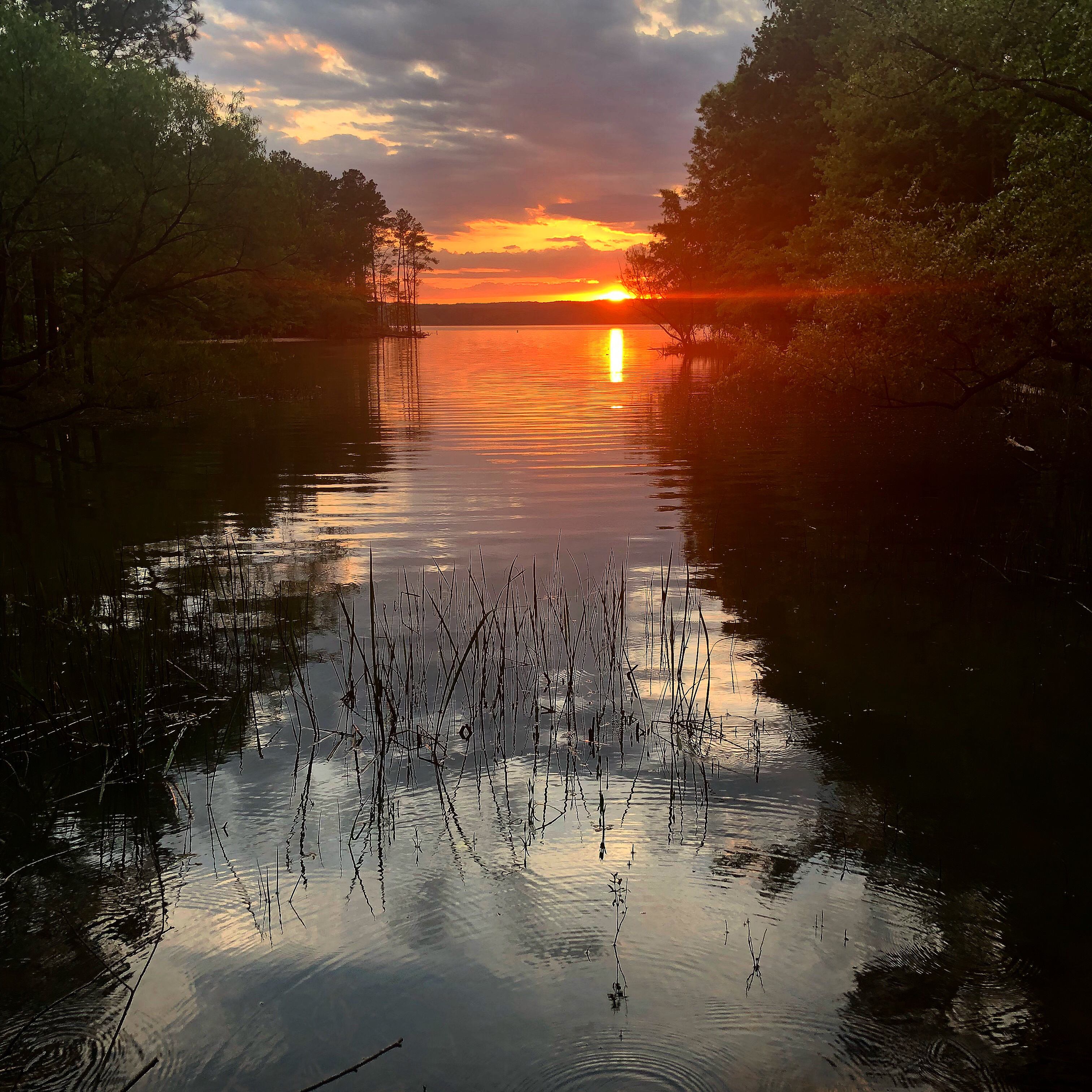 Camp at Jordan Lake State Park