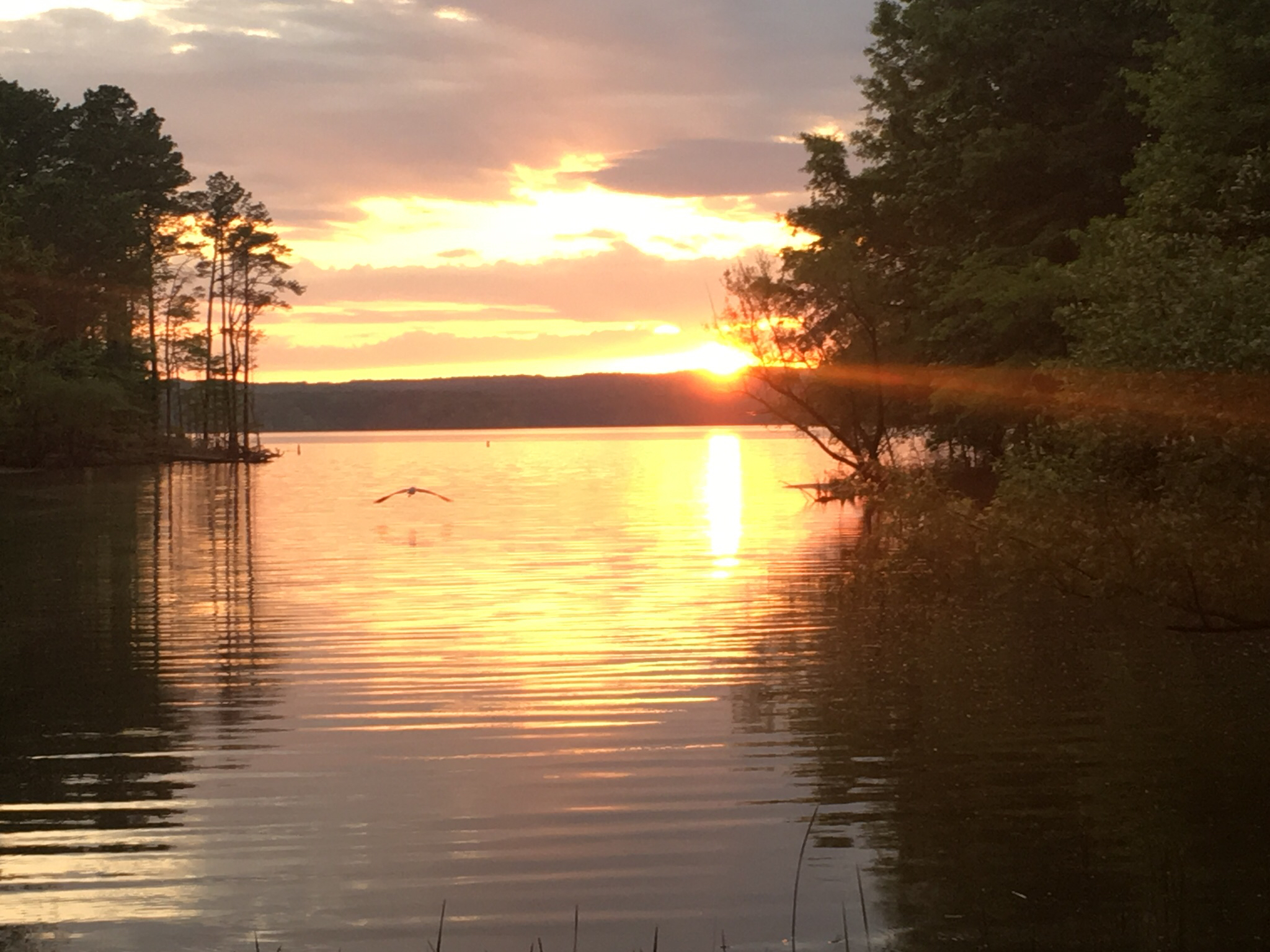 Camp at Jordan Lake State Park