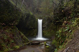 Hike to Wiesendanger Falls 