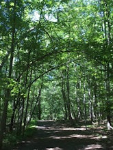 Hike at Mills Reservation