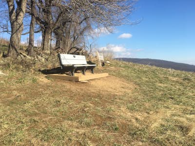 Hike to the Piedmont Overlook