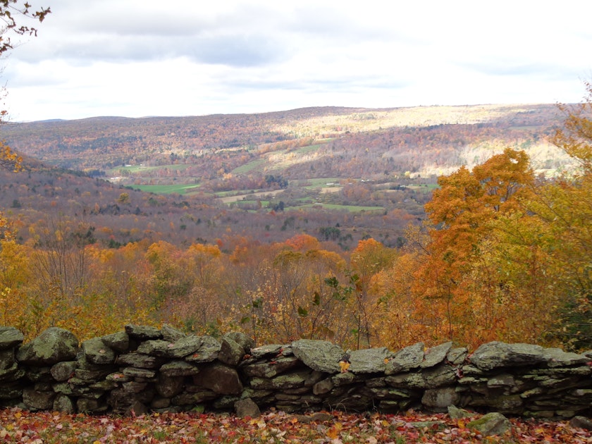 Piney Woods Hilltop Retreat