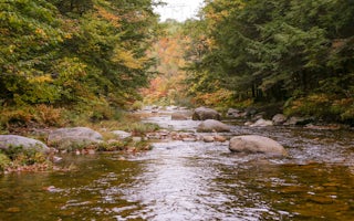 Whispering Pines At The River