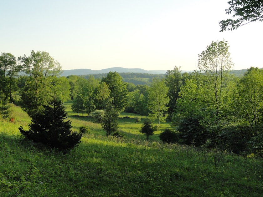 Photo of Piney Woods Hilltop Retreat