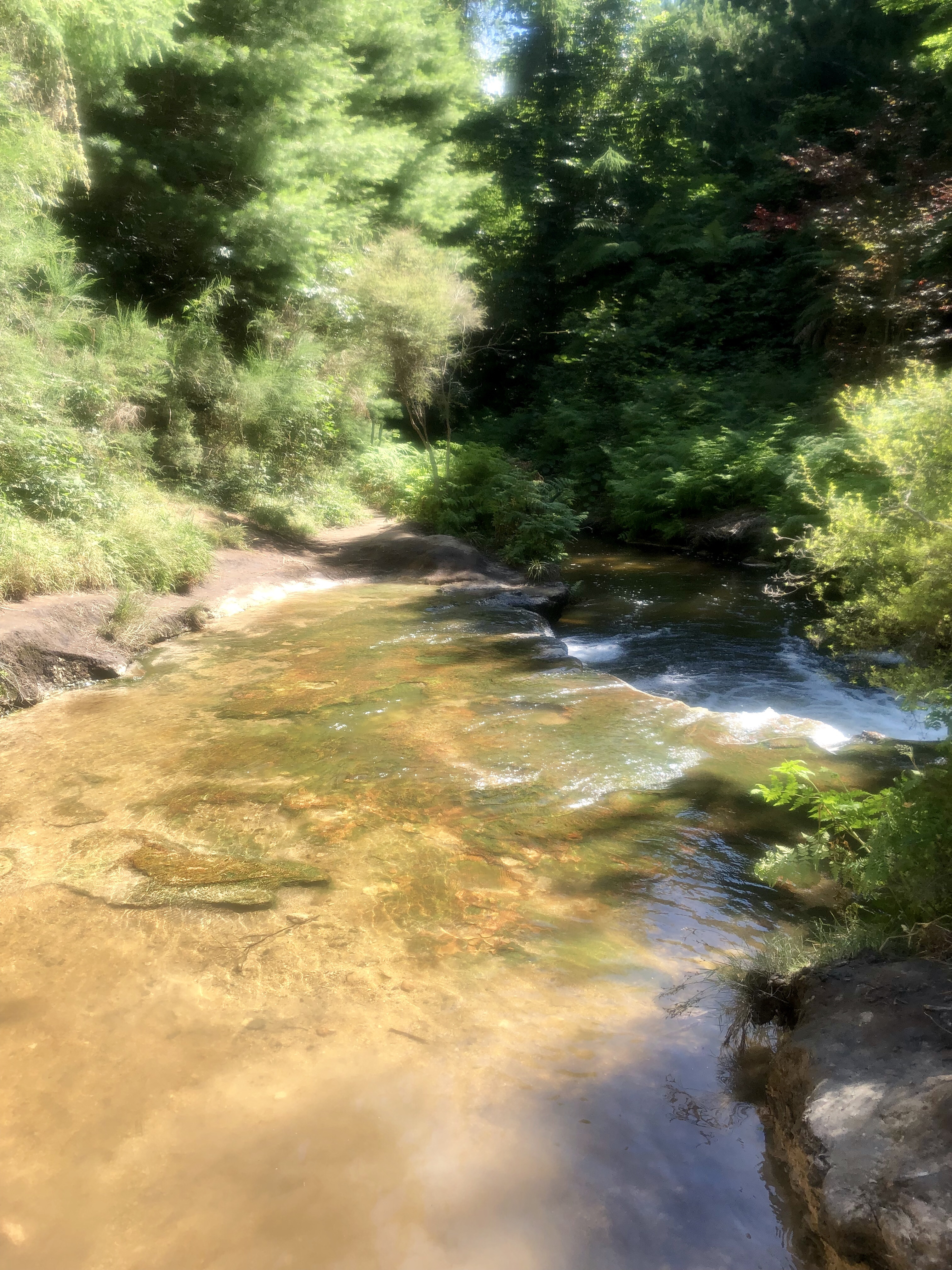 Swim in Kerosene Creek 