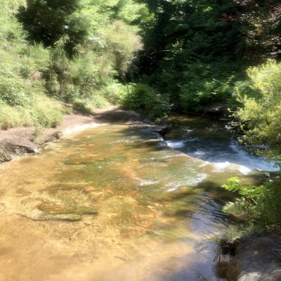 Swim in Kerosene Creek 