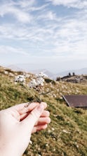 Explore Monte Baldo